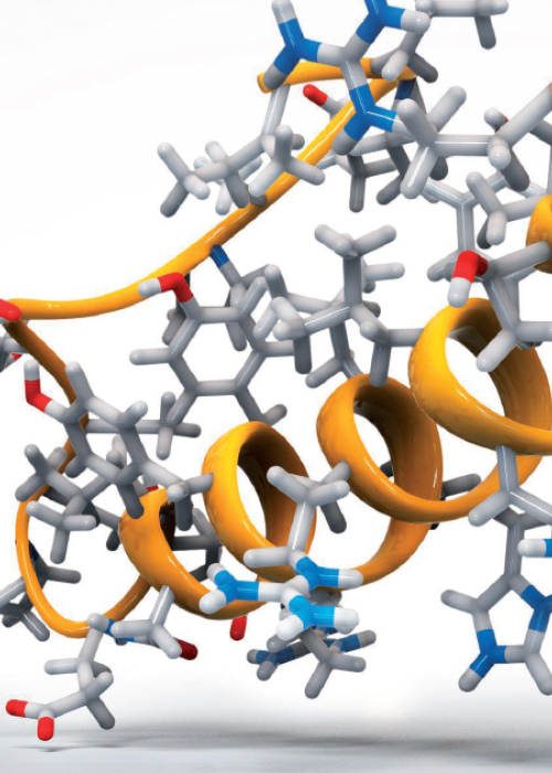 Hormone Restoration 